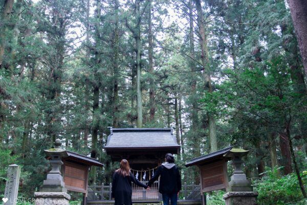 【長野恋愛パワースポット!】“仲良し縁結びの木” がある神社へ行ってみた!