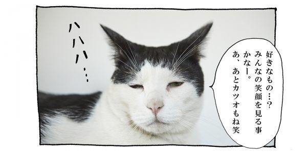【猫写真４コママンガ】「ロングインタビュー」パンチョとガバチョ ＃76