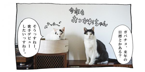 【猫写真４コママンガ】「教訓」パンチョとガバチョ ＃77