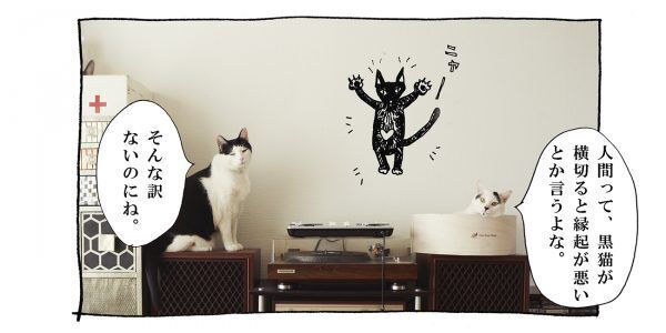 【猫写真４コママンガ】「腸に効きます」パンチョとガバチョ ＃79