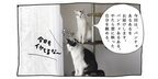 【猫写真４コママンガ】「パンチョあるある」パンチョとガバチョ ＃83