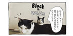 【猫写真４コママンガ】「ゆかいな動物仲間たち」パンチョとガバチョ ＃88