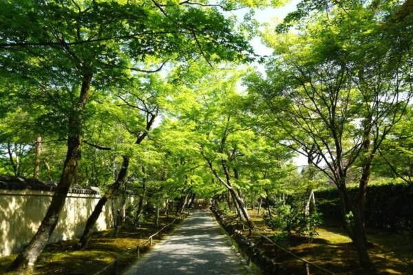 春夏は京都へ&amp;#8230;意外と知られていないパワースポット! 『嵐山』穴場案内