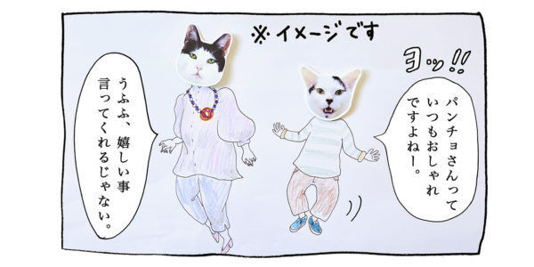 【猫写真４コママンガ】「ファッショニスタ」パンチョとガバチョ ＃90