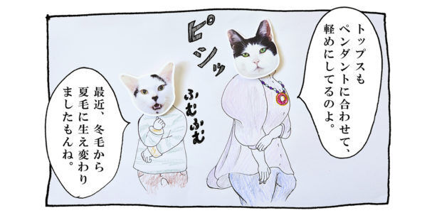 【猫写真４コママンガ】「ファッショニスタ」パンチョとガバチョ ＃90