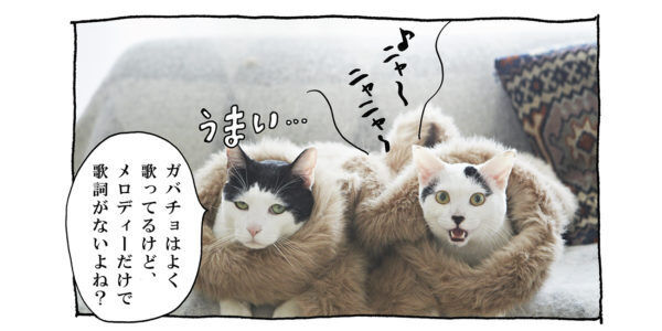 【猫写真４コママンガ】「ヒットメーカーコンビ誕生」パンチョとガバチョ ＃92