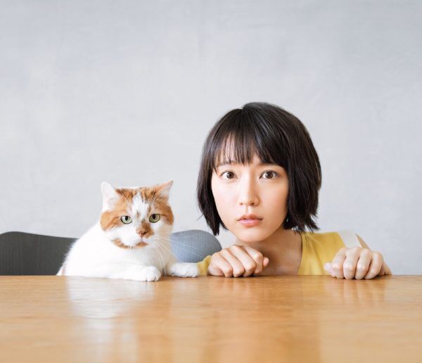 吉岡里帆が“猫界のスター”どんこと癒しのひととき♪