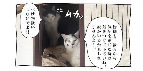 【猫写真４コママンガ】「熱中症対策」パンチョとガバチョ ＃94