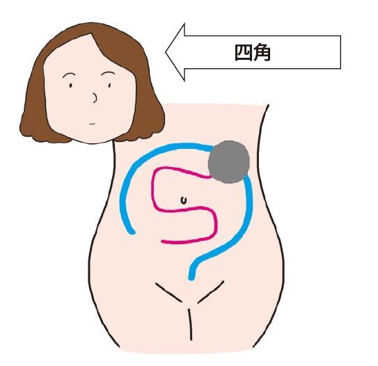 人相で腸と性格がわかる？ 「丸顔」「面長」…5タイプを診断！