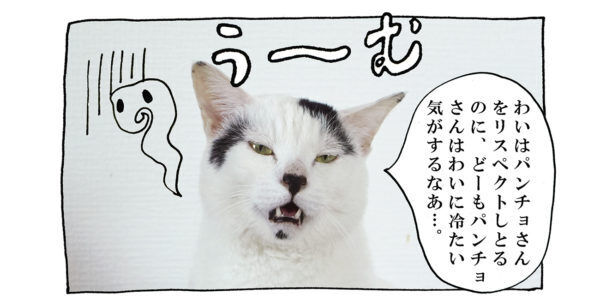 【猫写真４コママンガ】「遠まわしな拒絶？！」パンチョとガバチョ ＃95