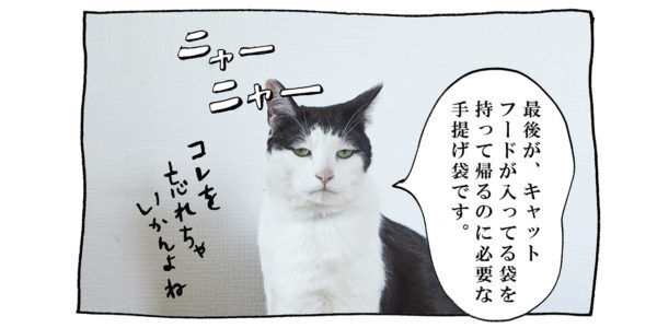 【猫写真４コママンガ】「スピーチ上手」パンチョとガバチョ ＃96