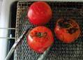 トマトは焼くと美肌効果UP！？　超簡単“焼きトマト”レシピ