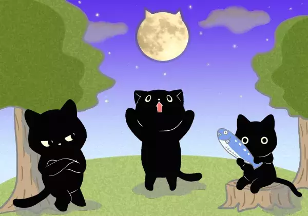 【黒猫心理テスト】「あなたのパワー、足りないもの、愛の形」がわかる！