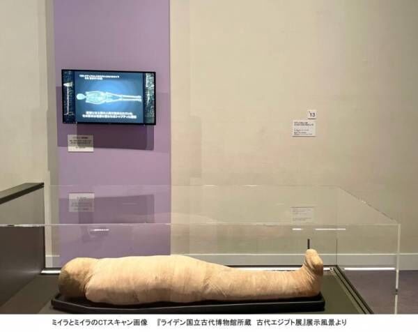 西島秀俊「正直、ちょっと怖い…」渋谷で圧倒された“12の棺”