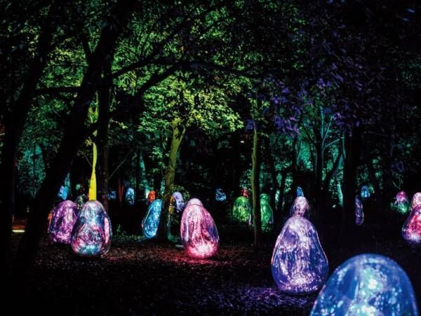 夜の植物園に幻想的な光のアートが出現!? チームラボの夜間常設展がオープン