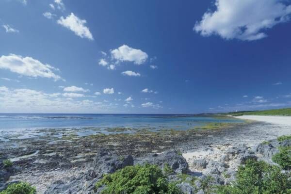 【沖縄の最新絶景スポット】旅のプロ激推し「大自然の奇跡に感動できる美景」5選