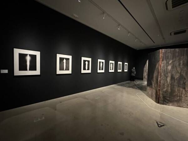 柴咲コウが「トキメキを感じる」現代アートコレクションとは