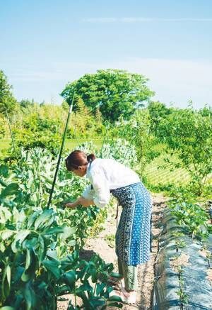 海の幸から旬の野菜、果物まで…食を満喫できる“佐渡”の宿3選