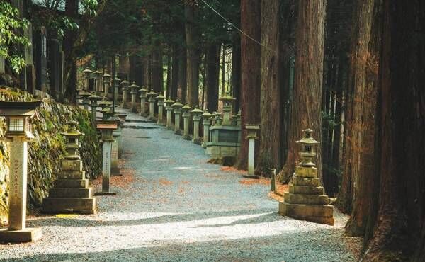 縁結びのご利益も!? 関東でも指折りのパワースポット・秩父“三峯神社”の魅力