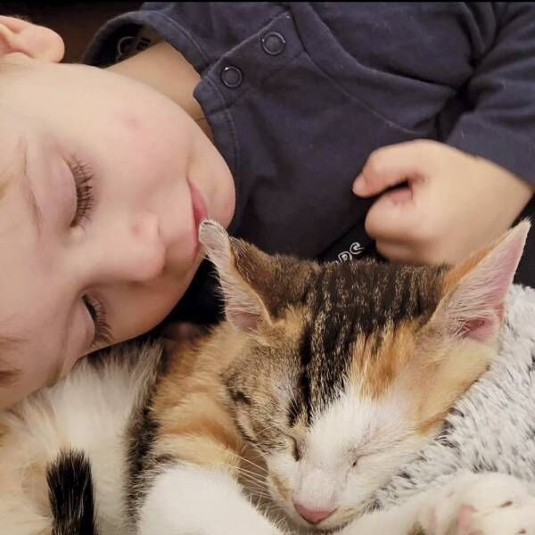 超甘えん坊で抱っこが好き…毎日幸せに過ごすスイートな子猫さまの衝撃的な過去
