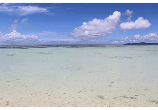 「ここは日本ですか？！」の美しい海…女性約200人調査【沖縄】の絶景スポット10選