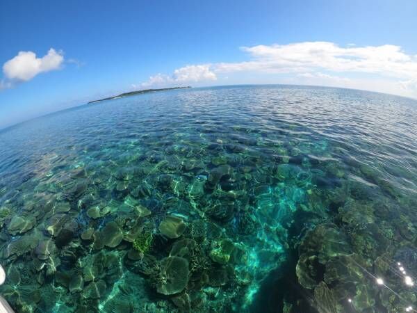 「ここは日本ですか？！」の美しい海…女性約200人調査【沖縄】の絶景スポット10選