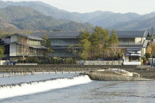 夏の嵐山で“もふもふ”わんにゃんに会える！ かわいい動物画を愛でる展覧会