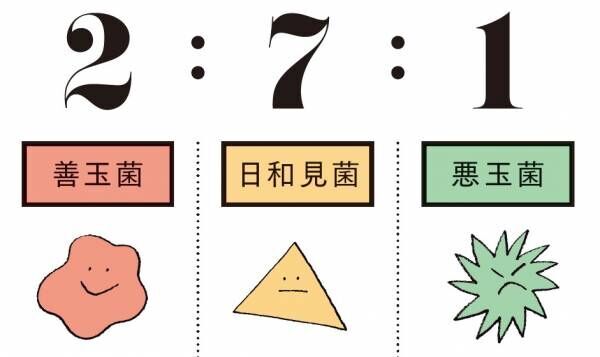 腸内細菌を“理想のバランス”にするには？ 食事傾向別に“おなかの中”をジャッジ！