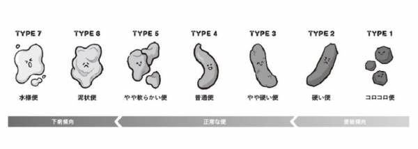 色、形、硬さ…便でわかる「あなたの健康状態」をチェック！