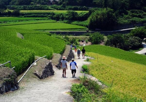 お互いに夫婦関係は冷めていた… 妻が帰省時に再会した「幼馴染とのW不倫騒動」【前編】