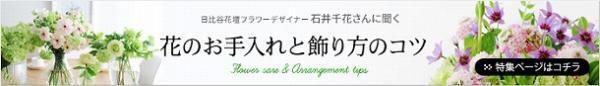 【フラワーデザイナー石井千花さんに聞く、お花のお手入れと飾り方のコツ・3】　花器のタイプ別　飾り方のコツ[PR]