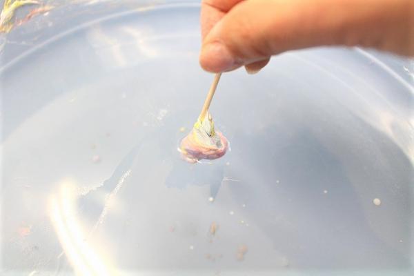 【プチDIY】　気分はマーブル！余ったマニキュアでできる、春色マーブリング[PR]