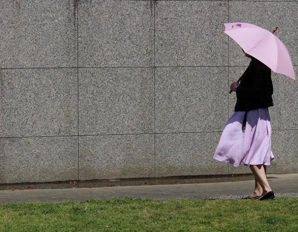 【もうすぐ予約会終了！】　スタッフが綴る、WAKAOの日傘コーディネート[PR]