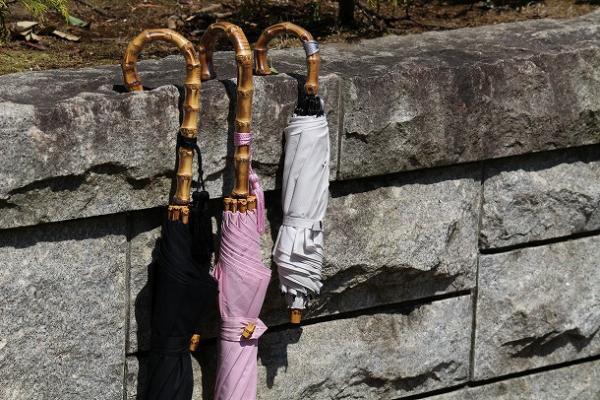 【もうすぐ予約会終了！】　スタッフが綴る、WAKAOの日傘コーディネート[PR]