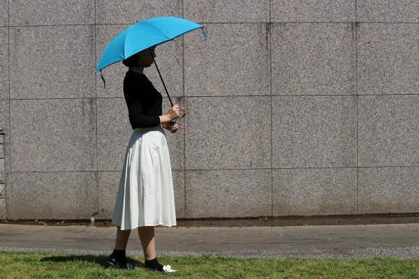 【もうすぐ予約会終了！】　スタッフが綴る、WAKAOの日傘コーディネート[PR]