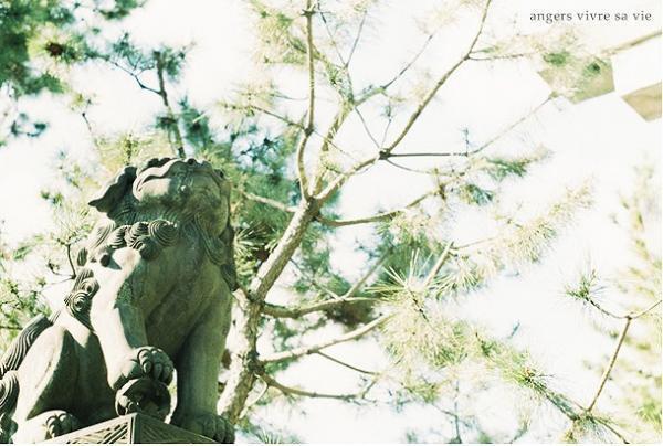 春の訪れを探して。北野の天神さんと上七軒さんぽ[PR]
