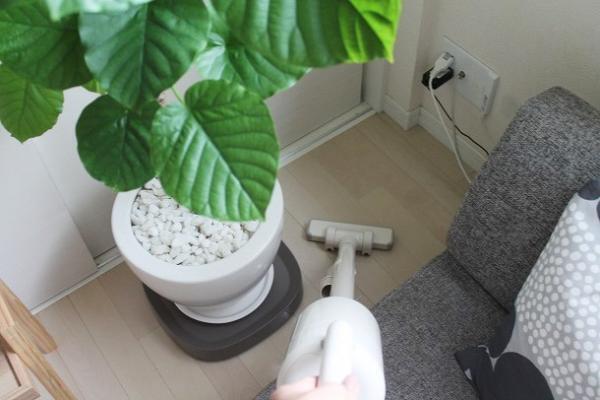 植物のお手入れが変わる！　「tidy」で始める快適ボタニカルライフ[PR]