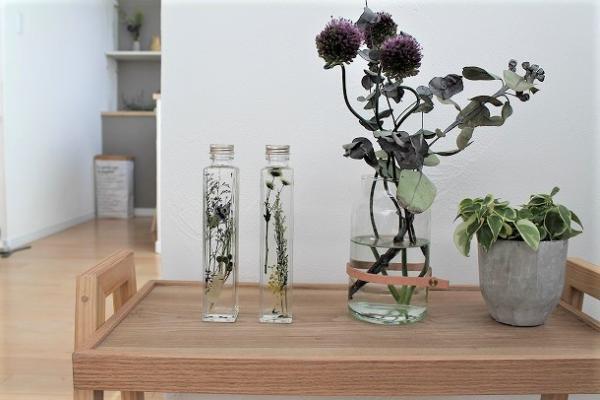 ハーバリウムってなに？　花を飾りたいところに手軽に植物標本を