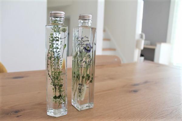 ハーバリウムってなに？　花を飾りたいところに手軽に植物標本を
