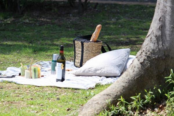 【ピクニックに行こう！第2回】　ピクニックがもっと楽しくなる、プチDIYアイデア[PR]
