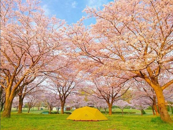 インスタグラマーさんに聞いたキャンプの楽しみ方。今年こそ「女子キャンプ」を始めてみませんか？[PR]