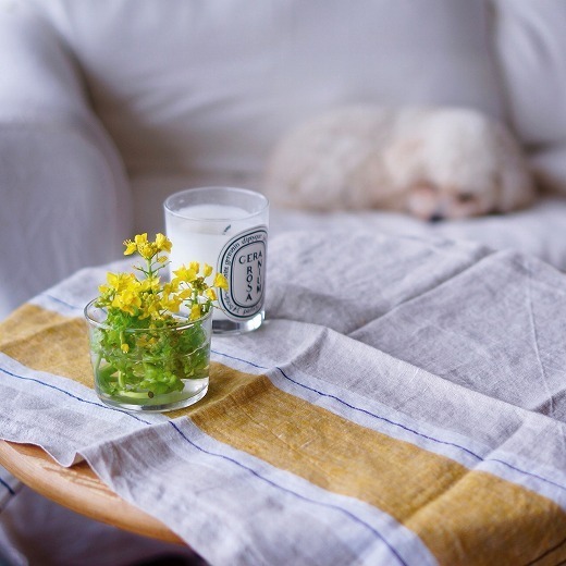 使いみちいろいろ！インスタグラマーさんの、キッチンクロスのある暮らし[PR]