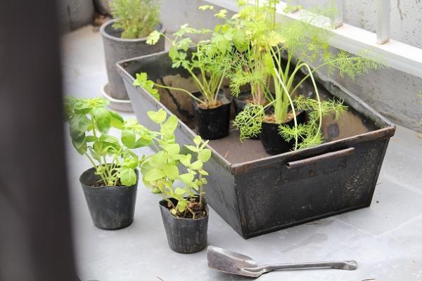 【おさんぽ手帖】　わたしだけの出逢いがきっと見つかる、蚤の市へ[PR]