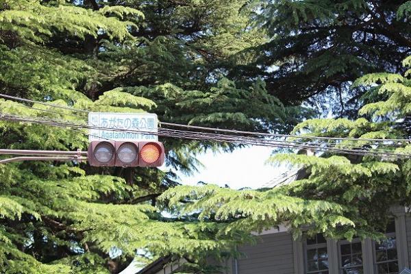 【おさんぽ手帖】 クラフトフェアまつもとまで、作家さん探しの旅へ[PR]