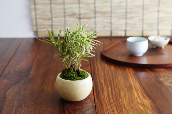 【父の日エピソード】　小さな私に届いた、神さまからの手紙[PR]