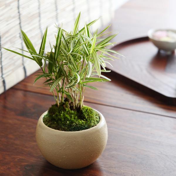 【父の日エピソード】　小さな私に届いた、神さまからの手紙[PR]