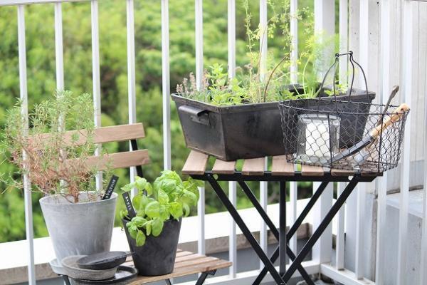 【プランツデザイナー富阪基さんに聞く植物のある暮らし・1】 　鉢植えからはじめる、プチガーデニング[PR]