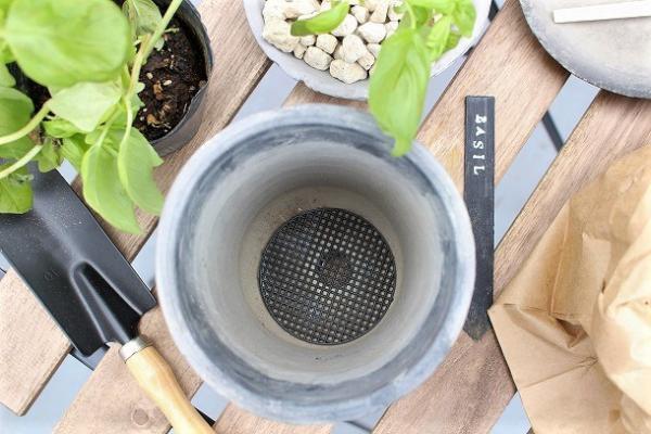 【プランツデザイナー富阪基さんに聞く植物のある暮らし・1】 　鉢植えからはじめる、プチガーデニング[PR]