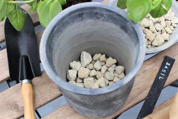 【プランツデザイナー富阪基さんに聞く植物のある暮らし・1】 　鉢植えからはじめる、プチガーデニング[PR]