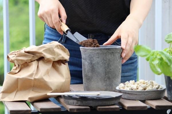 【プランツデザイナー富阪基さんに聞く植物のある暮らし・1】 　鉢植えからはじめる、プチガーデニング[PR]